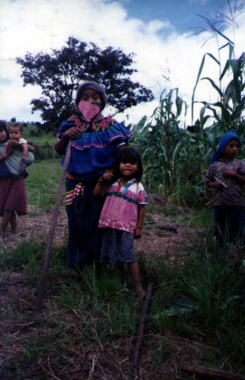 Women working in the fields near Diez de Abril, Chiapas, Mexico